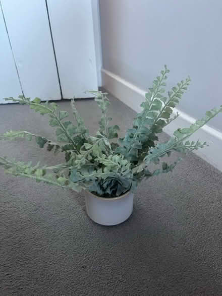 Photo of free Artificial plant in pot (OX14) #2