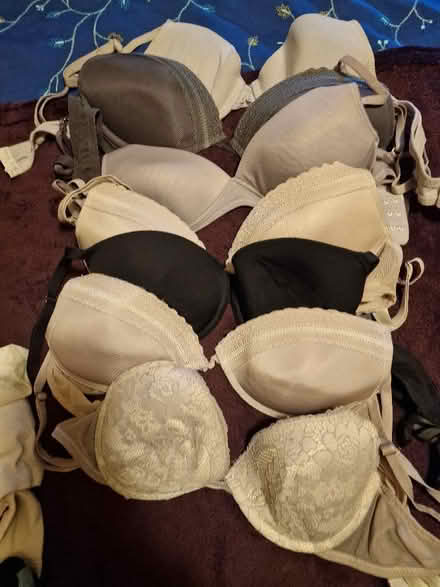 Photo of free Womens Clothes size 14 16 18 (Linden GL1) #3