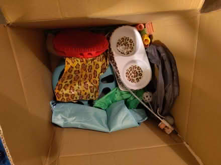 Photo of free Cat toys (Leeds LS13) #1