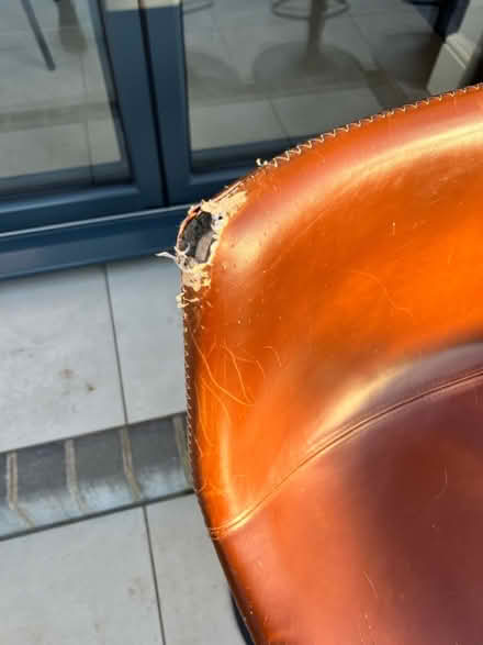 Photo of free Bar stools x4 (West Bergholt CO6) #2