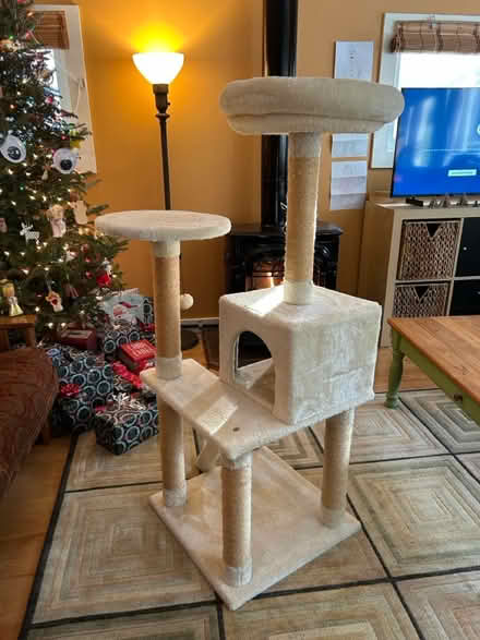 Photo of free Cat tower (Northampton near town) #1