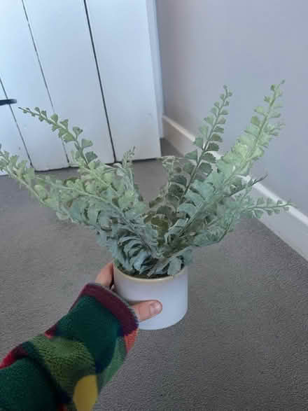 Photo of free Artificial plant in pot (OX14) #3