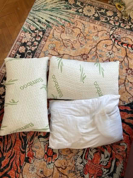 Photo of free Pillows (Trumpington Ward CB2) #1