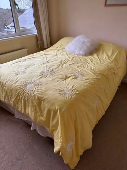 Photo of free Double bed (Talbot Woods BH4) #2