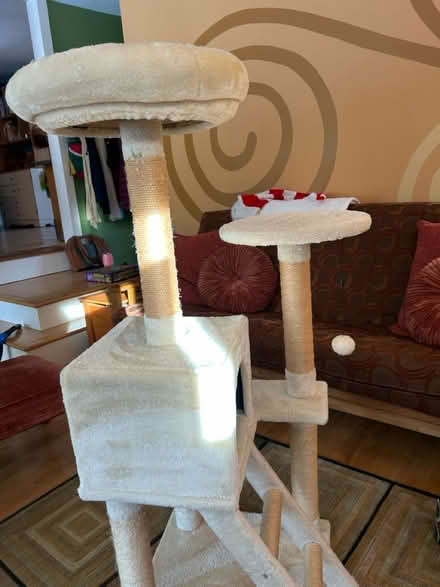 Photo of free Cat tower (Northampton near town) #2