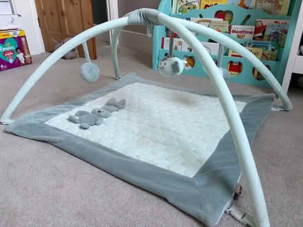Photo of free Baby play gym mat (Palmers Green N13) #2