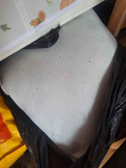 Photo of free Pillows and single duvet (BA2) #1