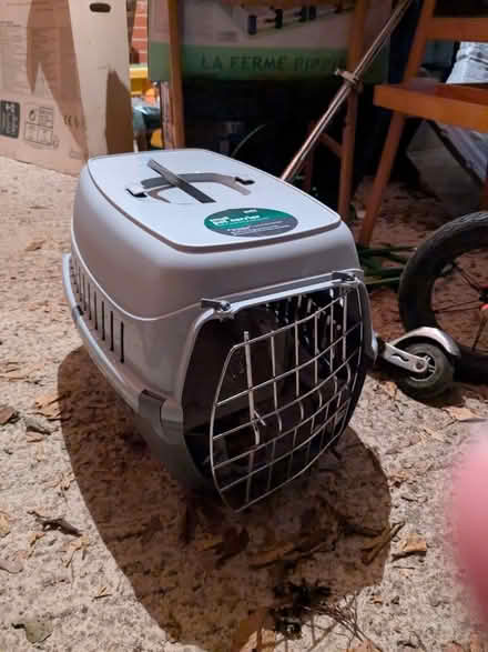 Photo of free Cat carrier (Littlemore OX4) #1