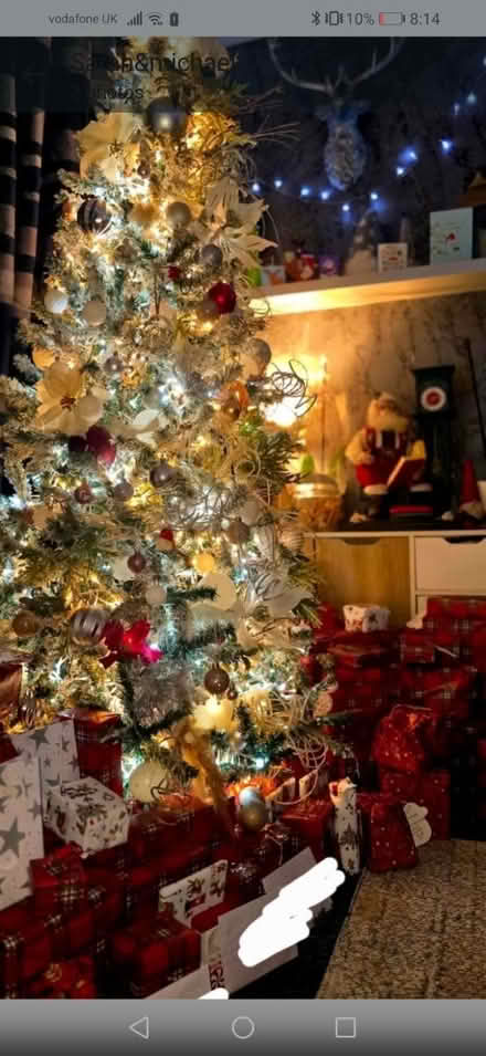 Photo of free Xmas tree (Luton LU1) #2