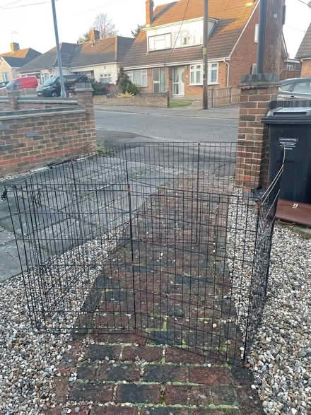 Photo of free Dog pen (SS15) #1