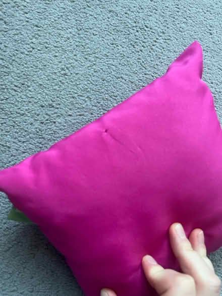 Photo of free 9 x mini cushions (OX14) #3