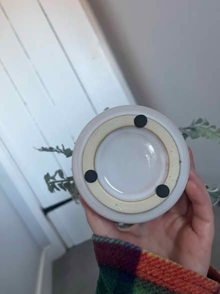 Photo of free Artificial plant in pot (OX14) #4