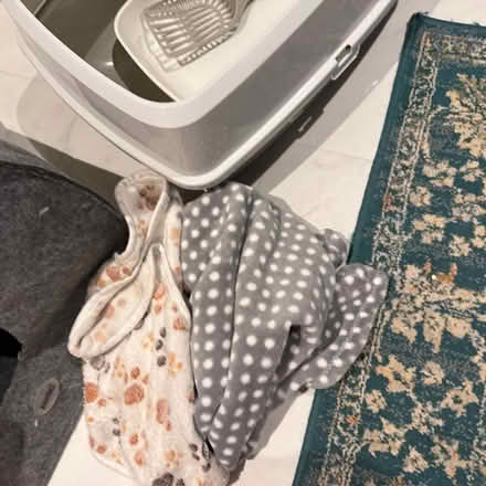 Photo of free Cat accessories (Redhill RH2) #4