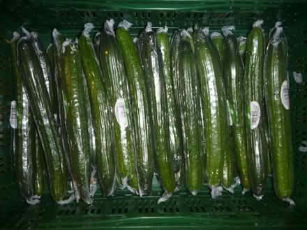 Photo of free Tortilla Chips, Pita, Cucumber, Potatoes, Carrots (Bracknell Forest RG12) #3