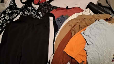 Photo of free Dresses, Tops, Skirt and Trousers (Bearwood B66) #1