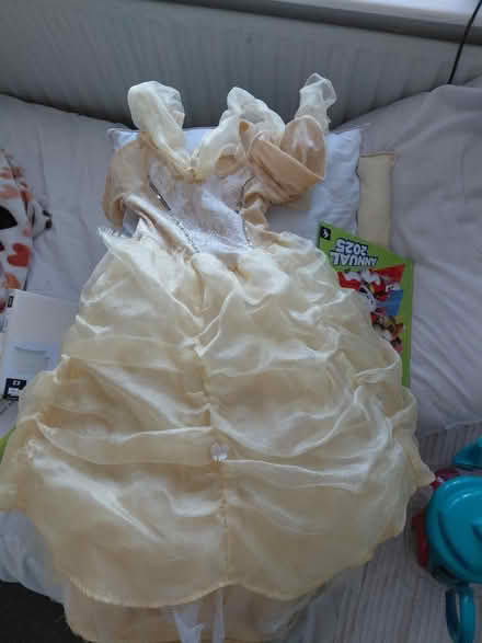Photo of free Beauty and beast belle dress (Bognor Regis - PO22) #1