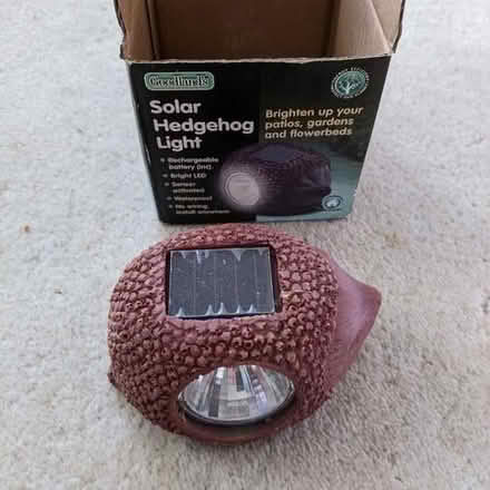 Photo of free Hedgehog garden ornament (Hastings TN34) #1