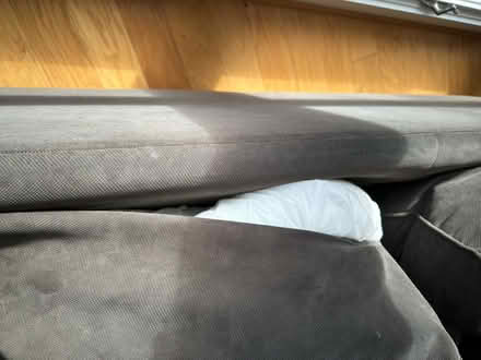 Photo of free Two Bassett sofas (Lake Linganore, MD) #2