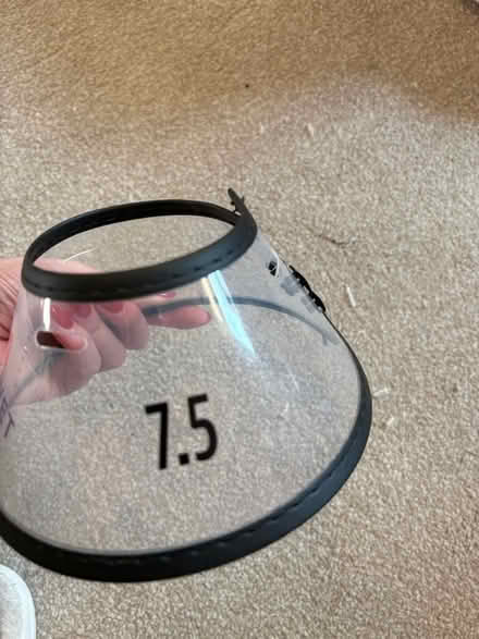 Photo of free Kitten collar for post surgery (Southfields SW18) #2