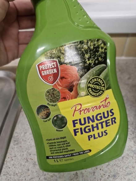 Photo of free Plants (Hanworth RG12) #2