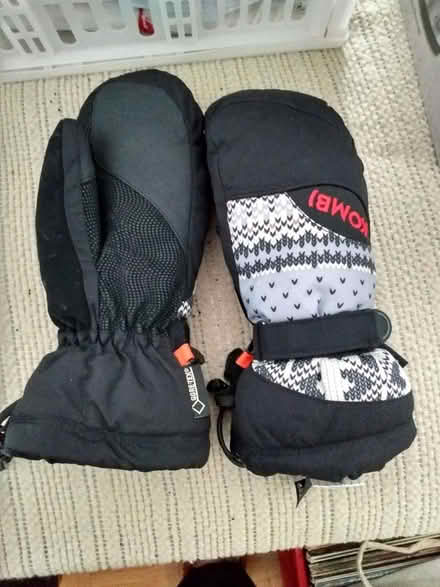 Photo of free Warm winter mitts (South Keys) #1