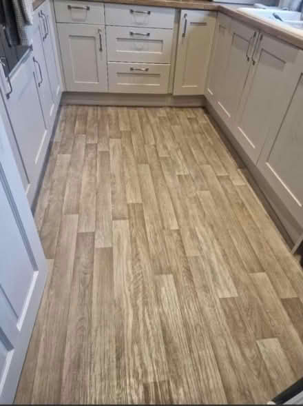 Photo of free Oak Lino Good Quality (WF4) #2