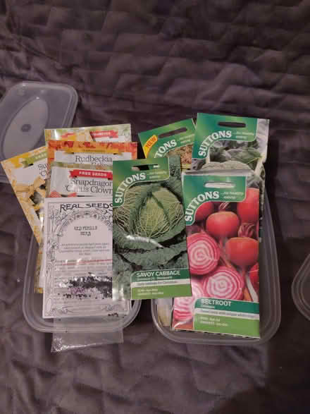 Photo of free Packets of seeds (Leeds LS13) #1
