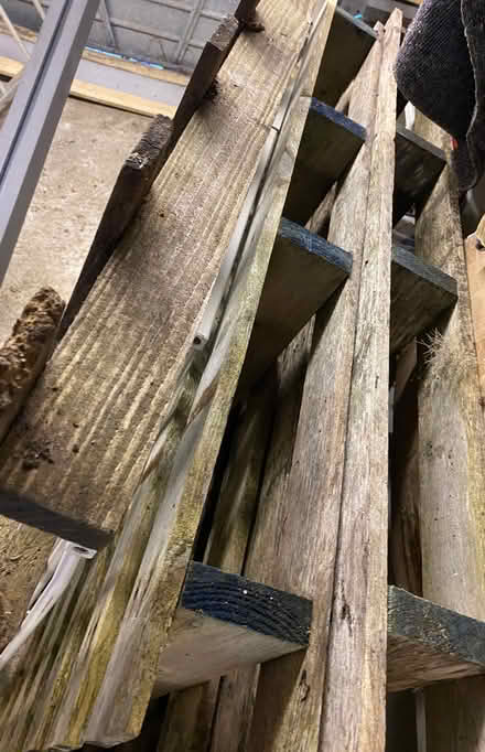 Photo of free Wooden pallets (Braintree CM7) #1