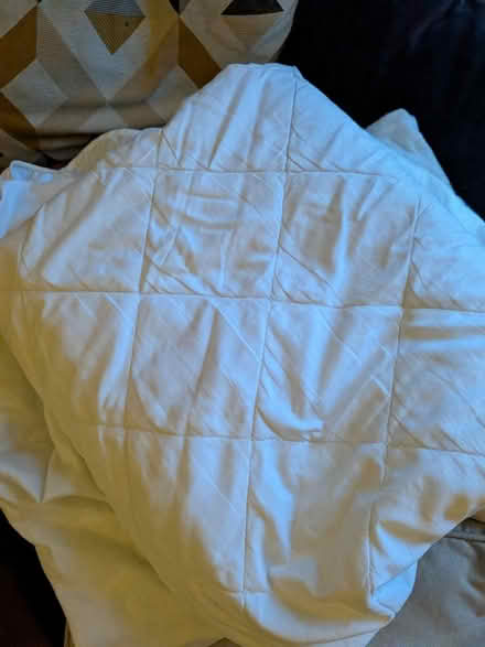 Photo of free 2 x mattress protectors (Manchester M19) #1