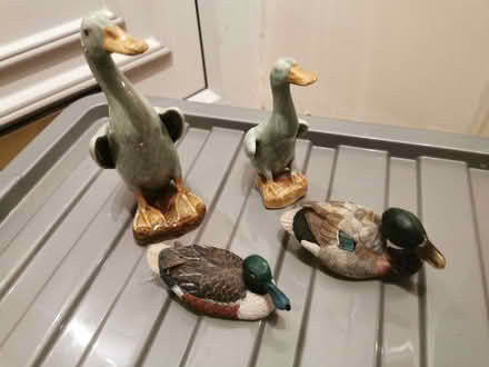 Photo of free Pottery Ducks (Sawley NG10) #1