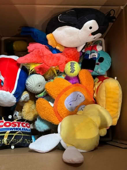 Photo of free Dog toys. Gently or never used (Belmont) #1