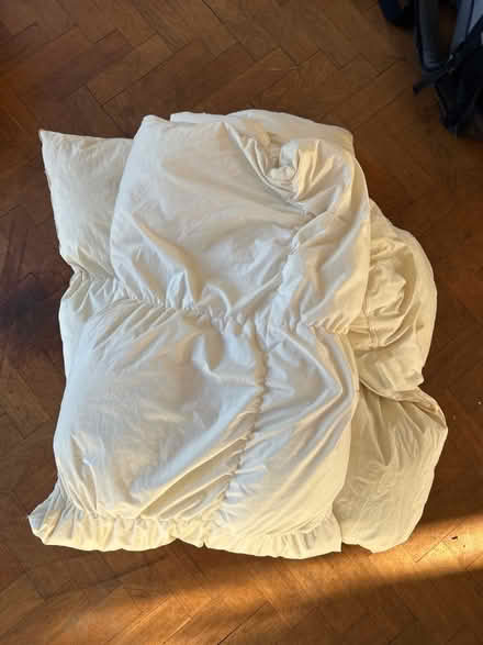 Photo of free Double bed duvet feathers (Trumpington Ward CB2) #1