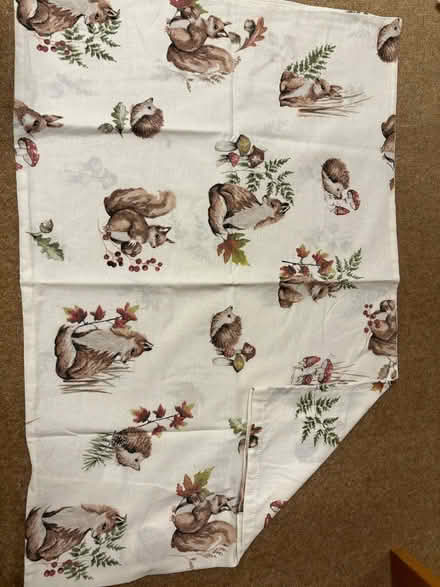 Photo of free Woodland single duvet cover and pillow case (Speldhurst TN3) #2