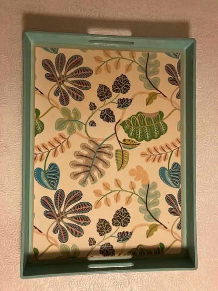 Photo of free serving tray (Spring Hill, Somerville) #1