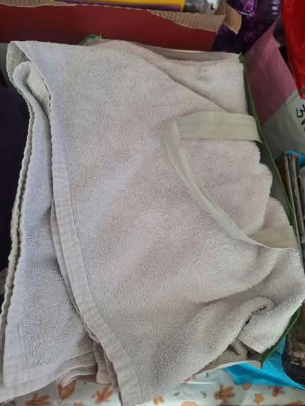 Photo of free White towels and 1 blue. Large (BA2) #1