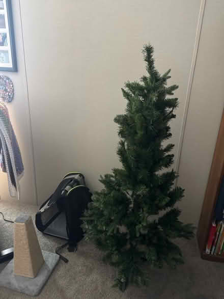 Photo of free Christmas Tree (Countryside) #2