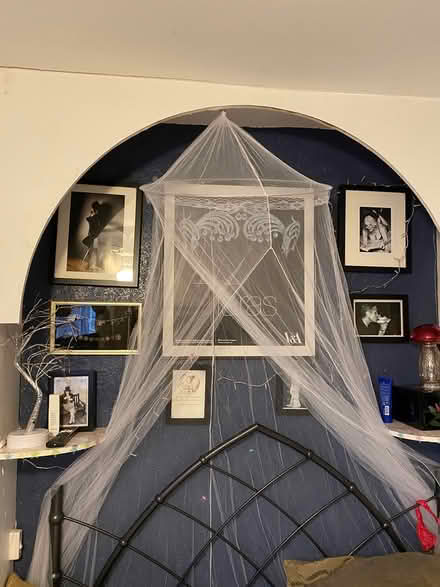 Photo of free Bed canopy (Highbury Vale NG6) #1