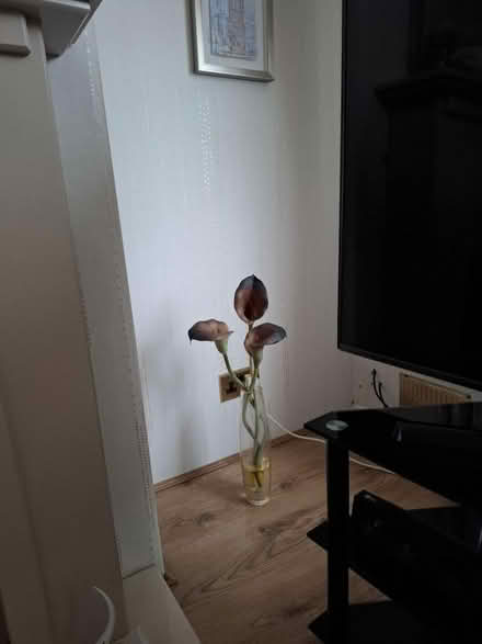 Photo of free Flower arrangements (CH49) #1