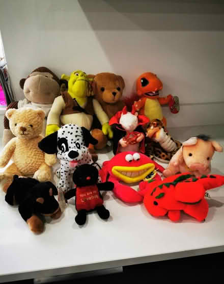 Photo of free Halloween decorations & teddy's (Aston) #2