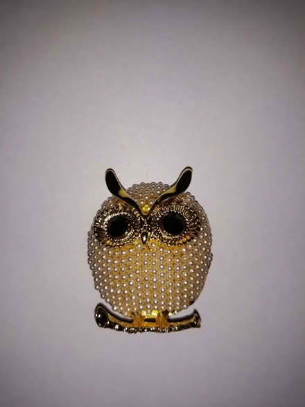 Photo of free Owl brooch / pin (Moortown LS17) #1
