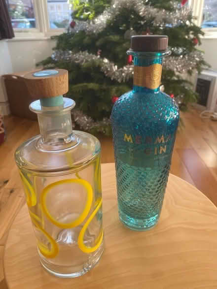 Photo of free Two EMPTY gin bottles - for upcycling projects? (Earlsdon CV5) #1