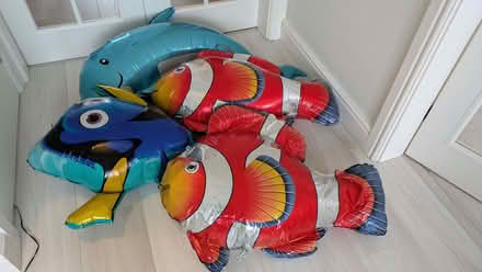 Photo of free Balloon fish (Jennyfield HG3) #1