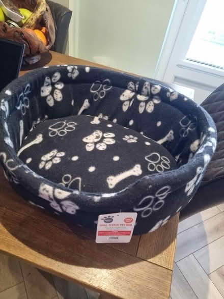 Photo of free Small dog/cat bed (Coldean BN1) #1