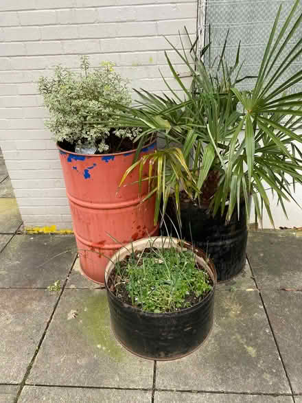 Photo of free 9 FREE Barrel Planters (Chorlton Road, M16) #3