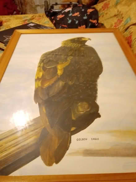 Photo of free Lge painting (Orton Goldhay) #1