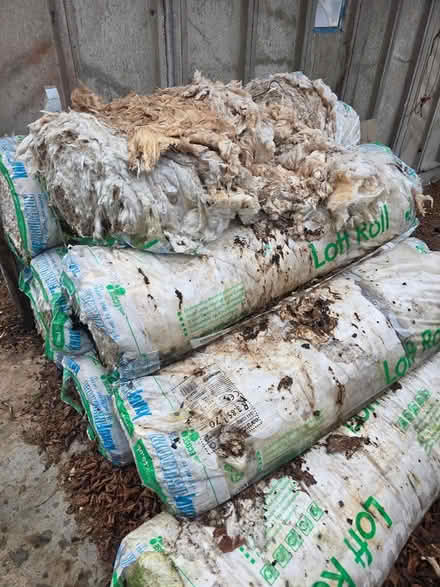 Photo of free Rockwool insulation (farnborough GU14) #3