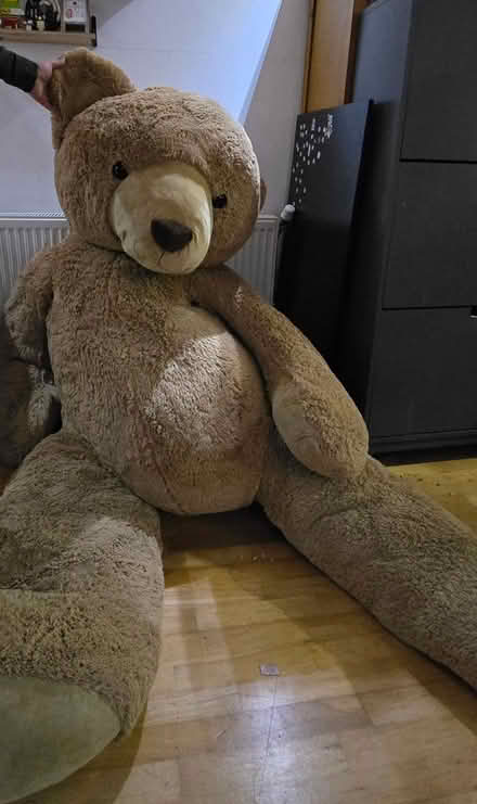 Photo of free FAO SCHWARZ Giant Teddy Bear 1.3m (Cumbernauld G67) #1