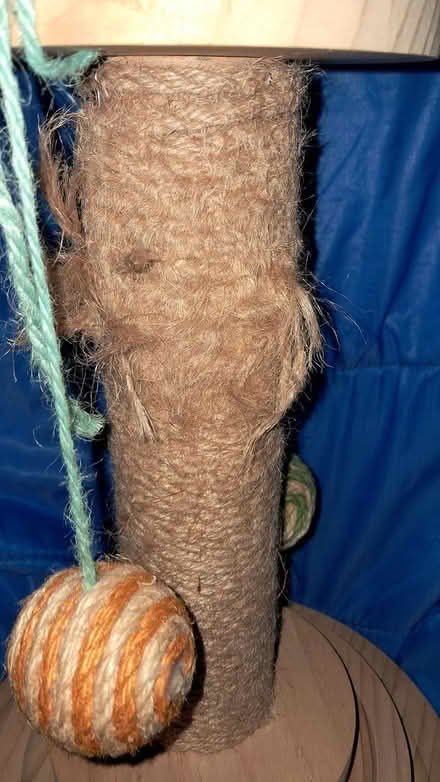 Photo of free Small cat scratcher (Holloway road N4) #4