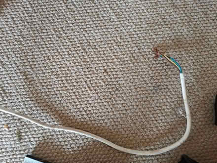 Photo of free Electric radiator (SW17) #3