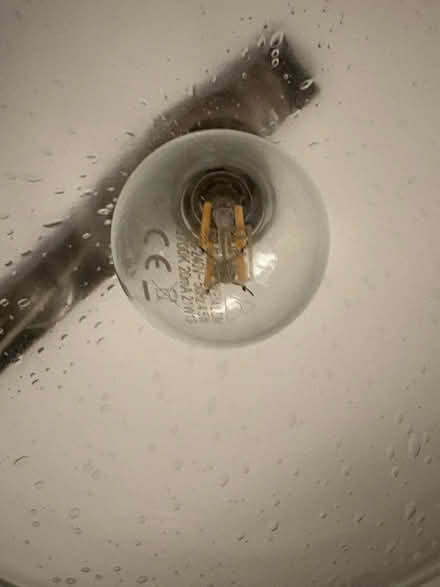 Photo of free 2 light bulbs (Battenhall, Worcester WR5) #4